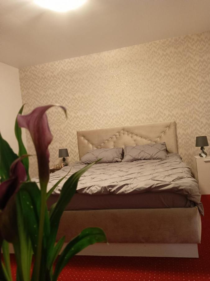 ブラショフKarina Houseアパートメント エクステリア 写真