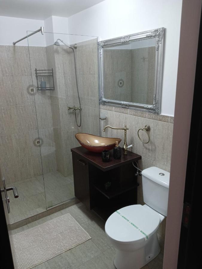 ブラショフKarina Houseアパートメント エクステリア 写真