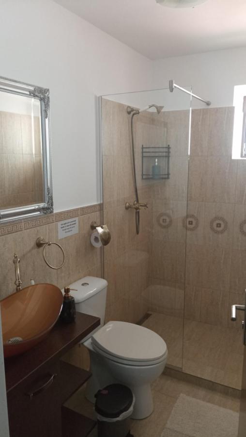 ブラショフKarina Houseアパートメント エクステリア 写真